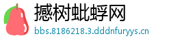 撼树蚍蜉网